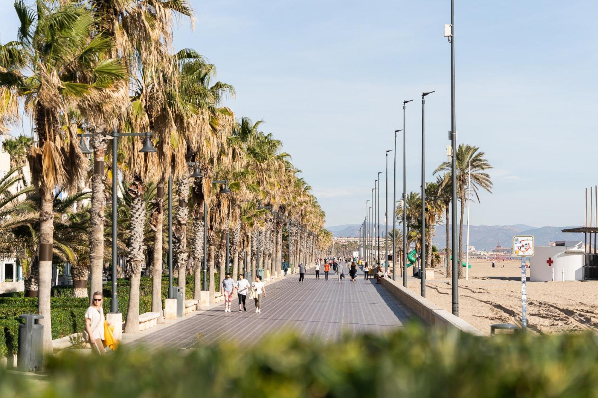 Alojamiento Junto Al Oceanografic Valencia Exterior foto